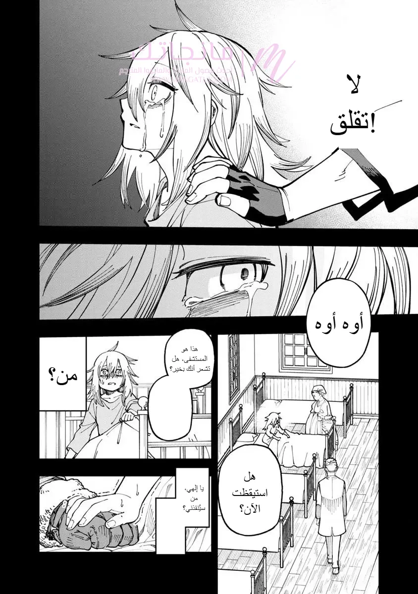 الصفحة 19