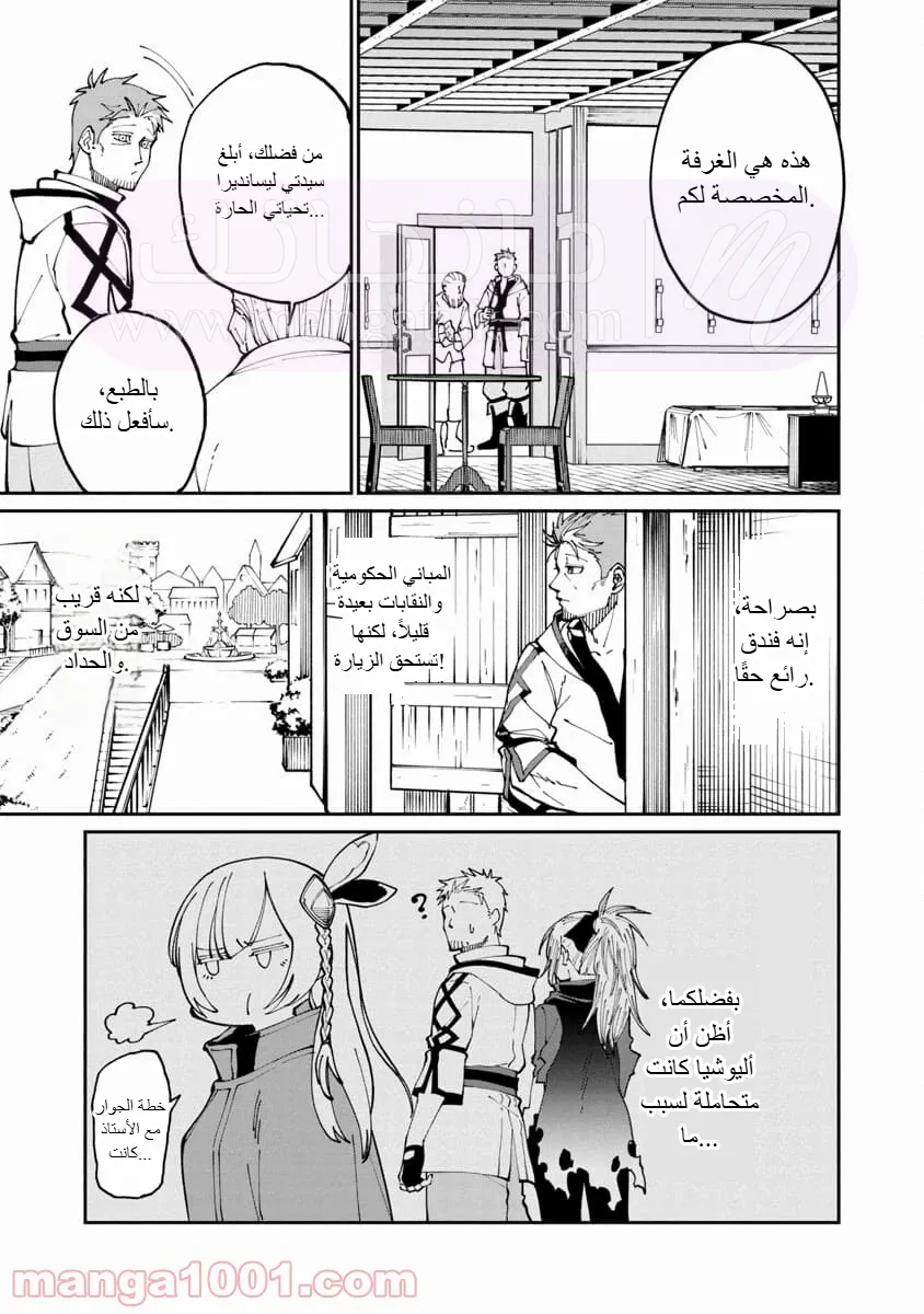 الصفحة 17