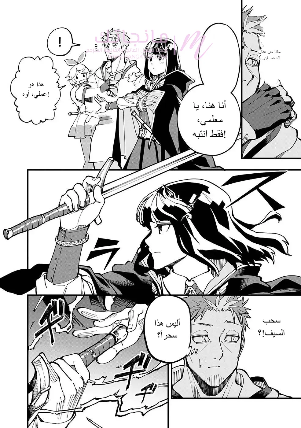 الصفحة 12