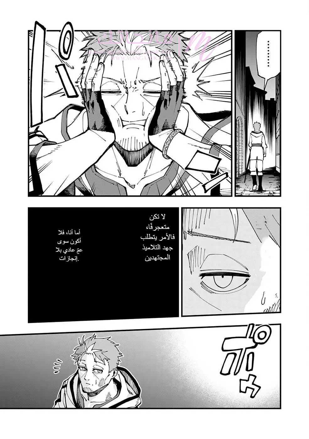 الصفحة 17