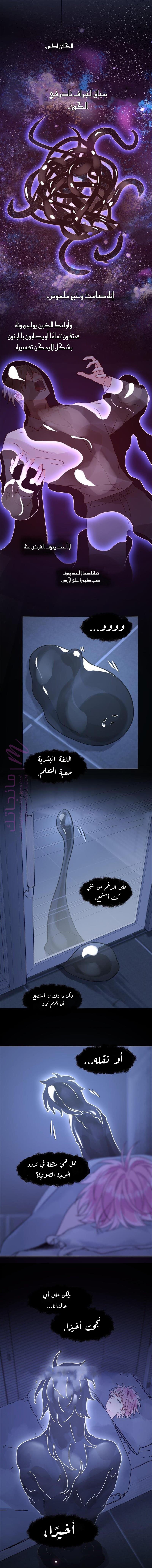الصفحة 2