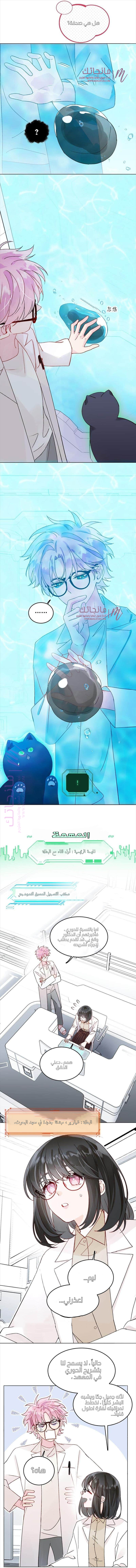 الصفحة 2