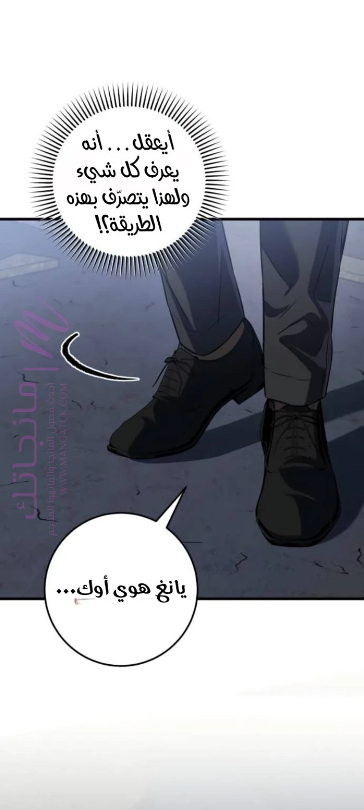 الصفحة 14