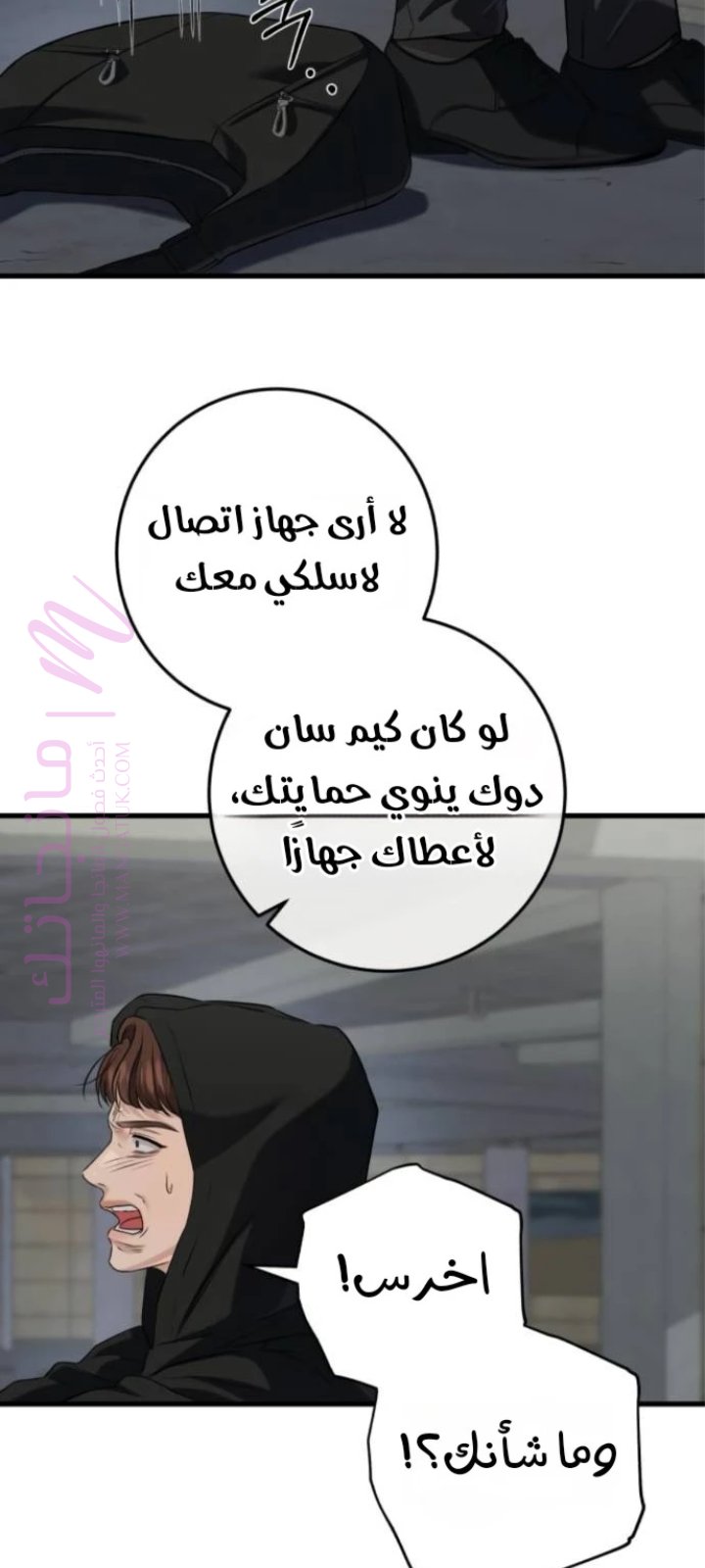 الصفحة 43