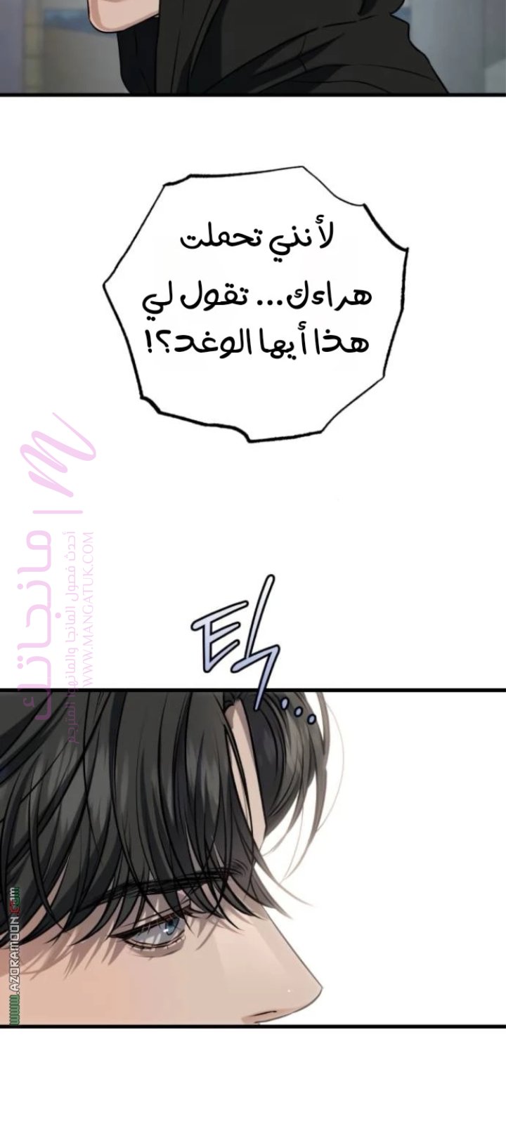 الصفحة 46
