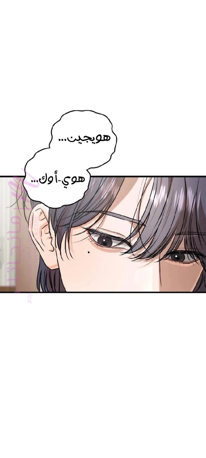 الصفحة 26