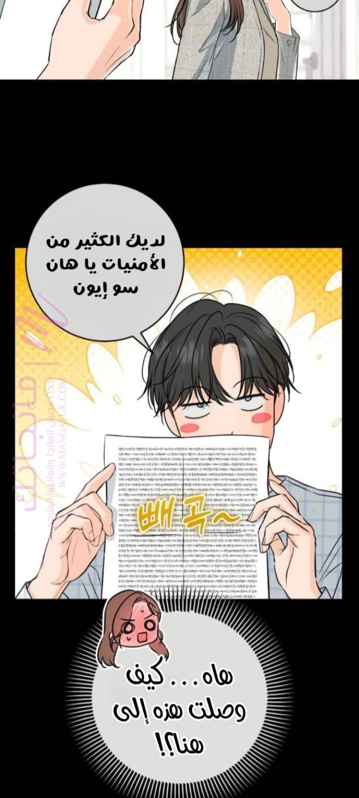 الصفحة 29