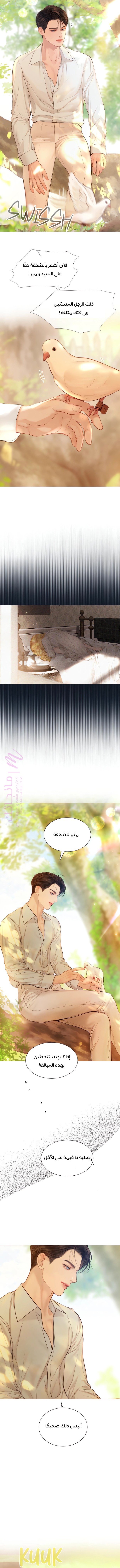 الصفحة 14
