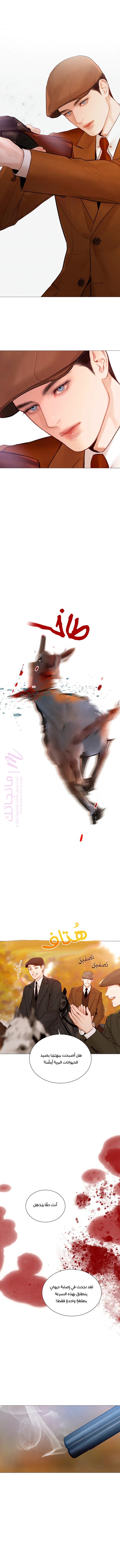 الصفحة 14