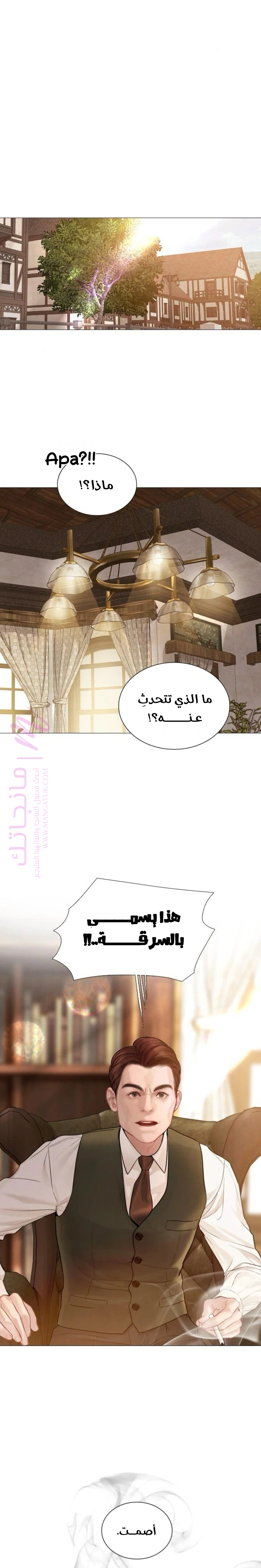 الصفحة 17