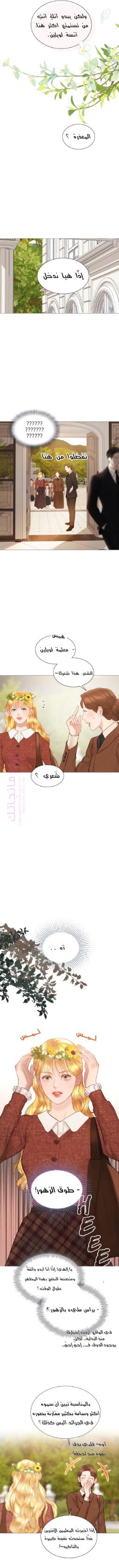 الصفحة 11