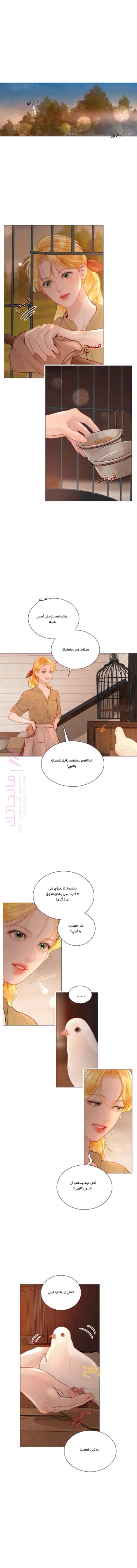 الصفحة 2