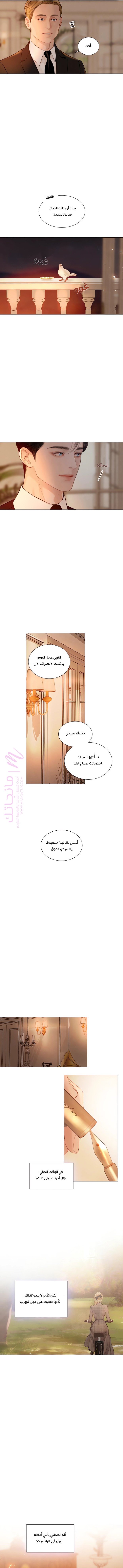 الصفحة 13