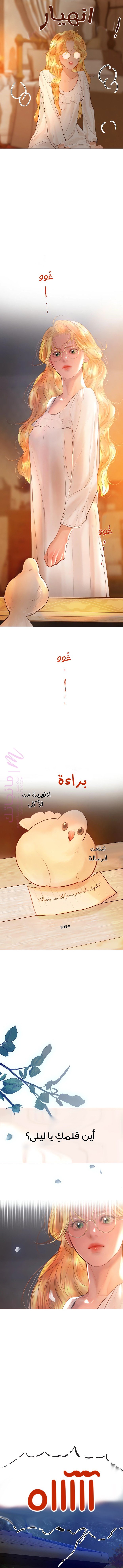 الصفحة 17