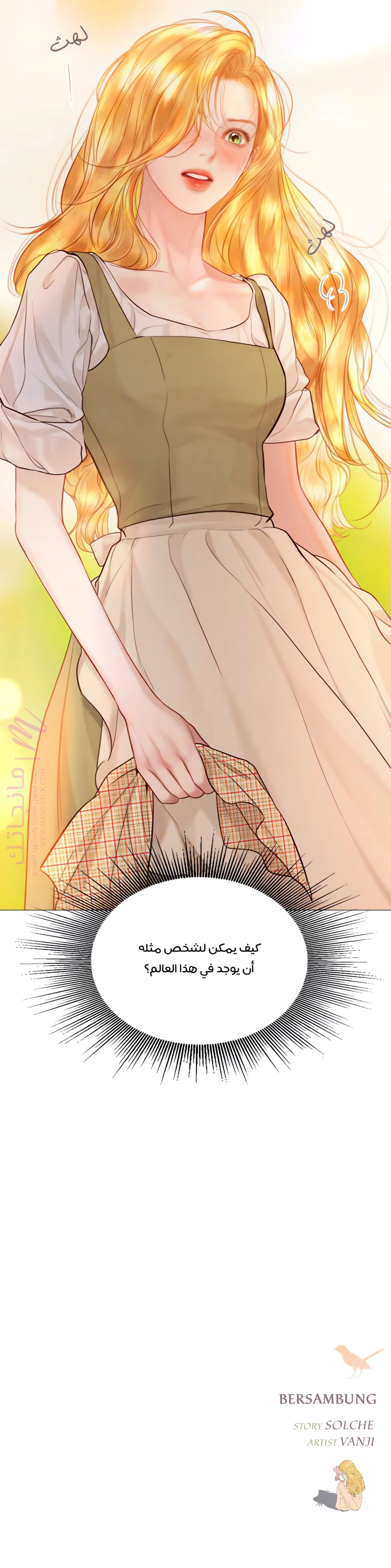الصفحة 17