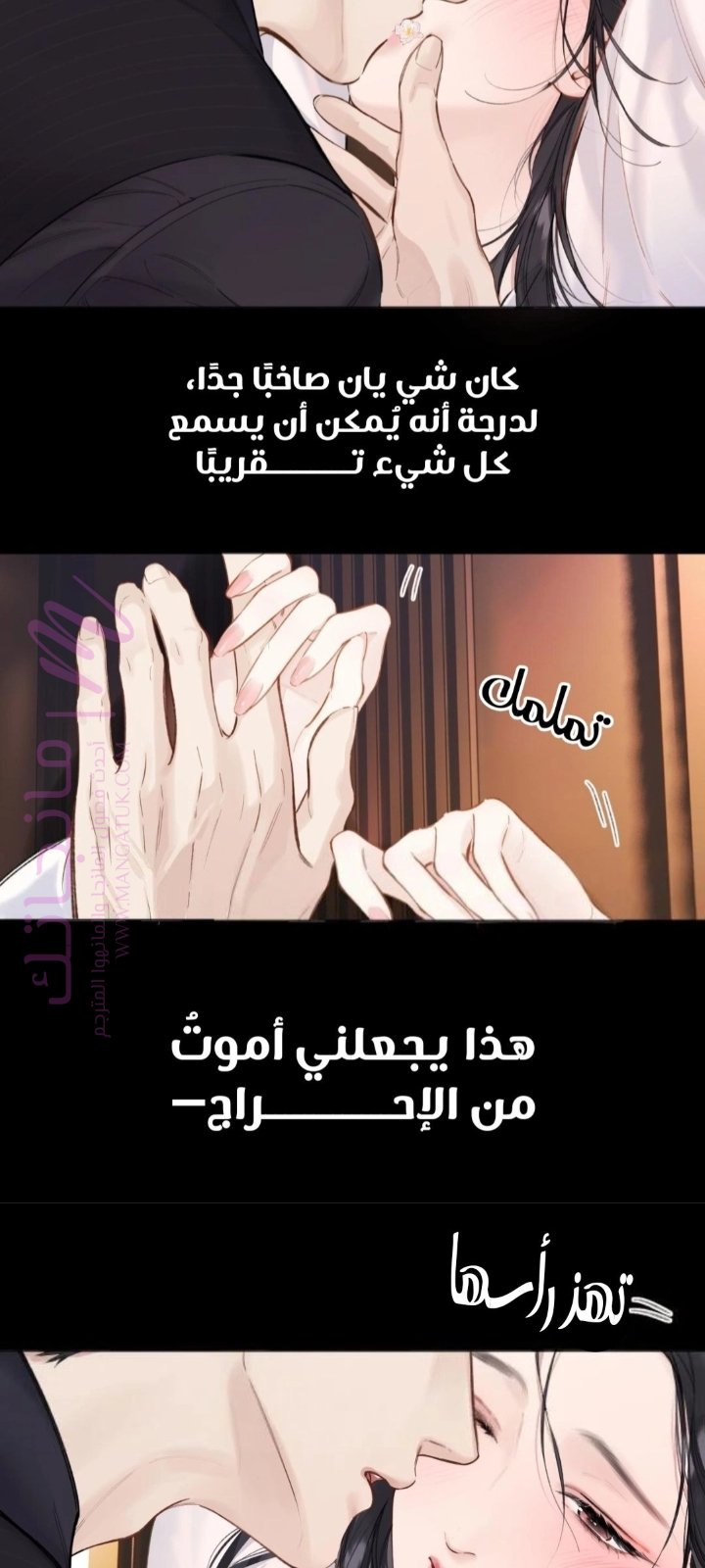 الصفحة 13