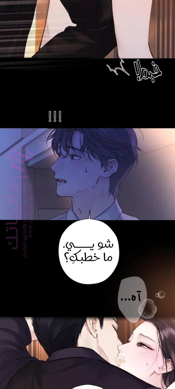 الصفحة 16