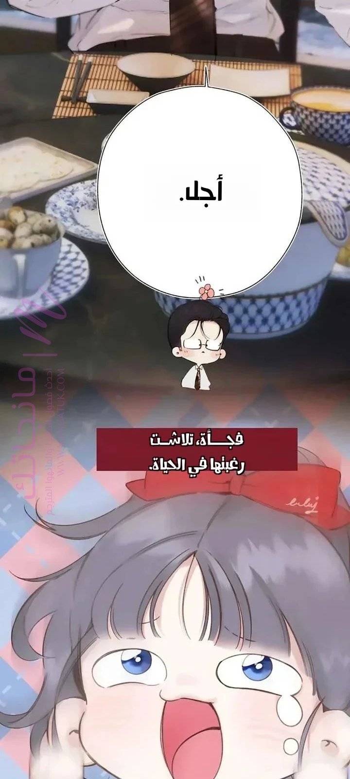 الصفحة 14