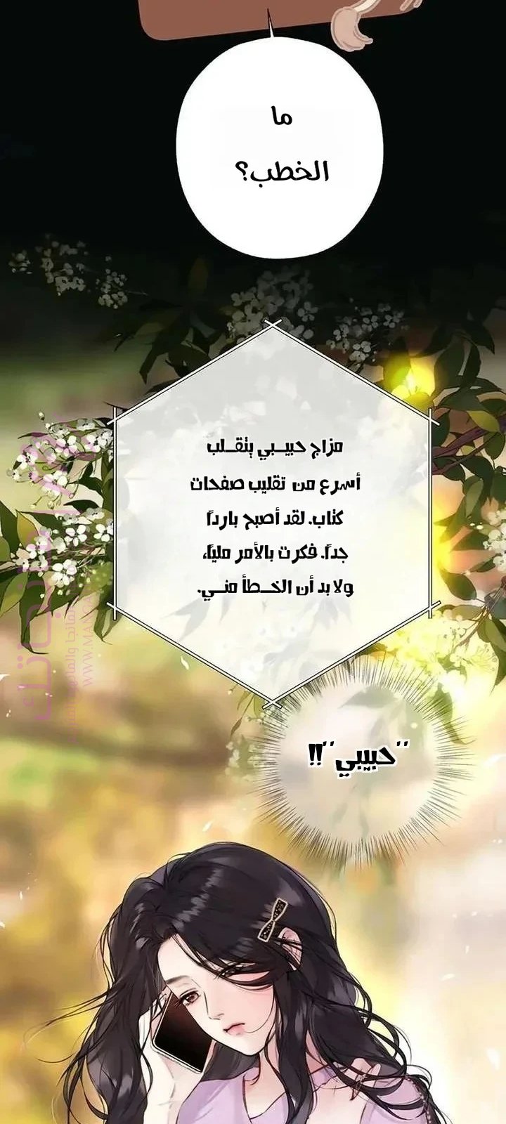 الصفحة 21