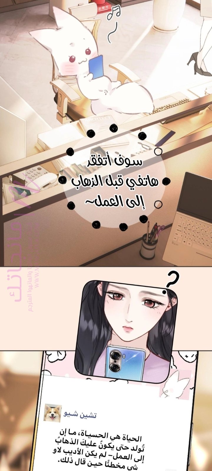 الصفحة 16