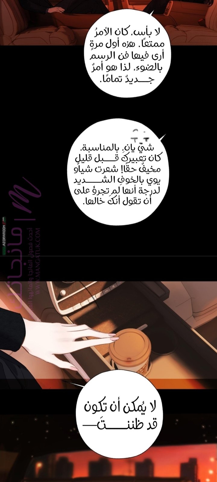 الصفحة 13