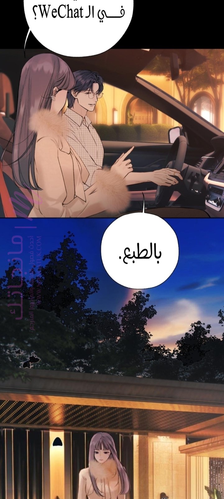 الصفحة 41