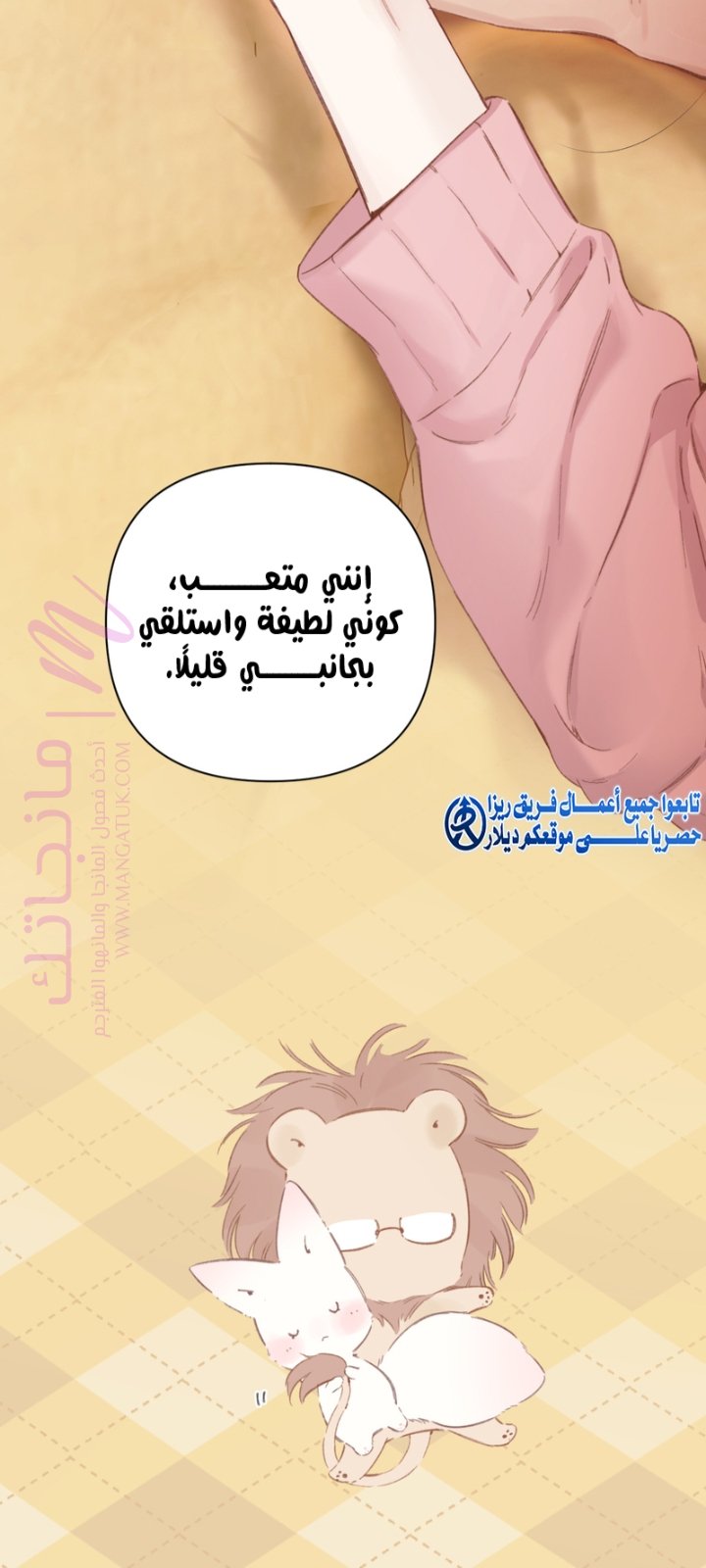 الصفحة 26