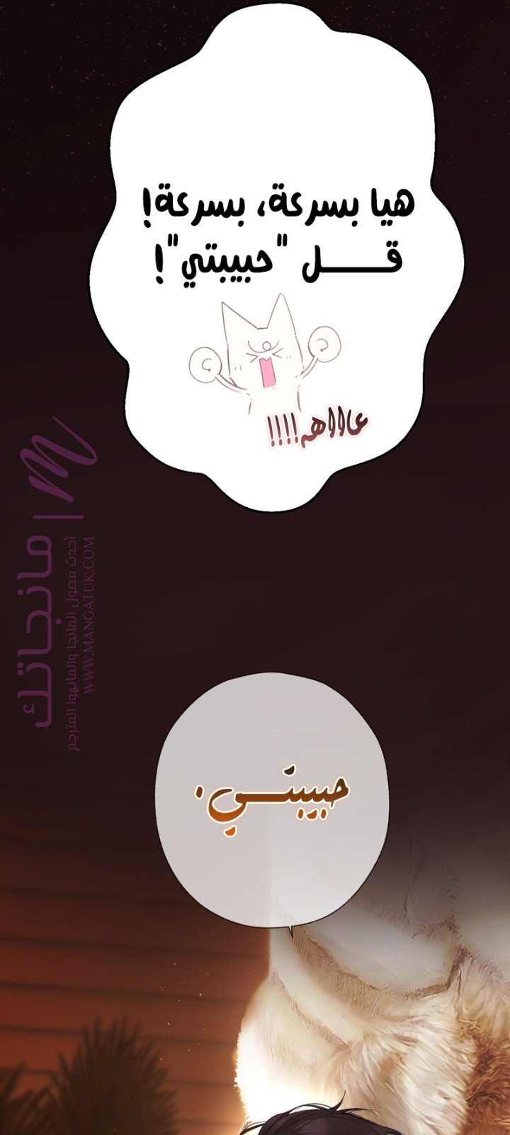 الصفحة 40