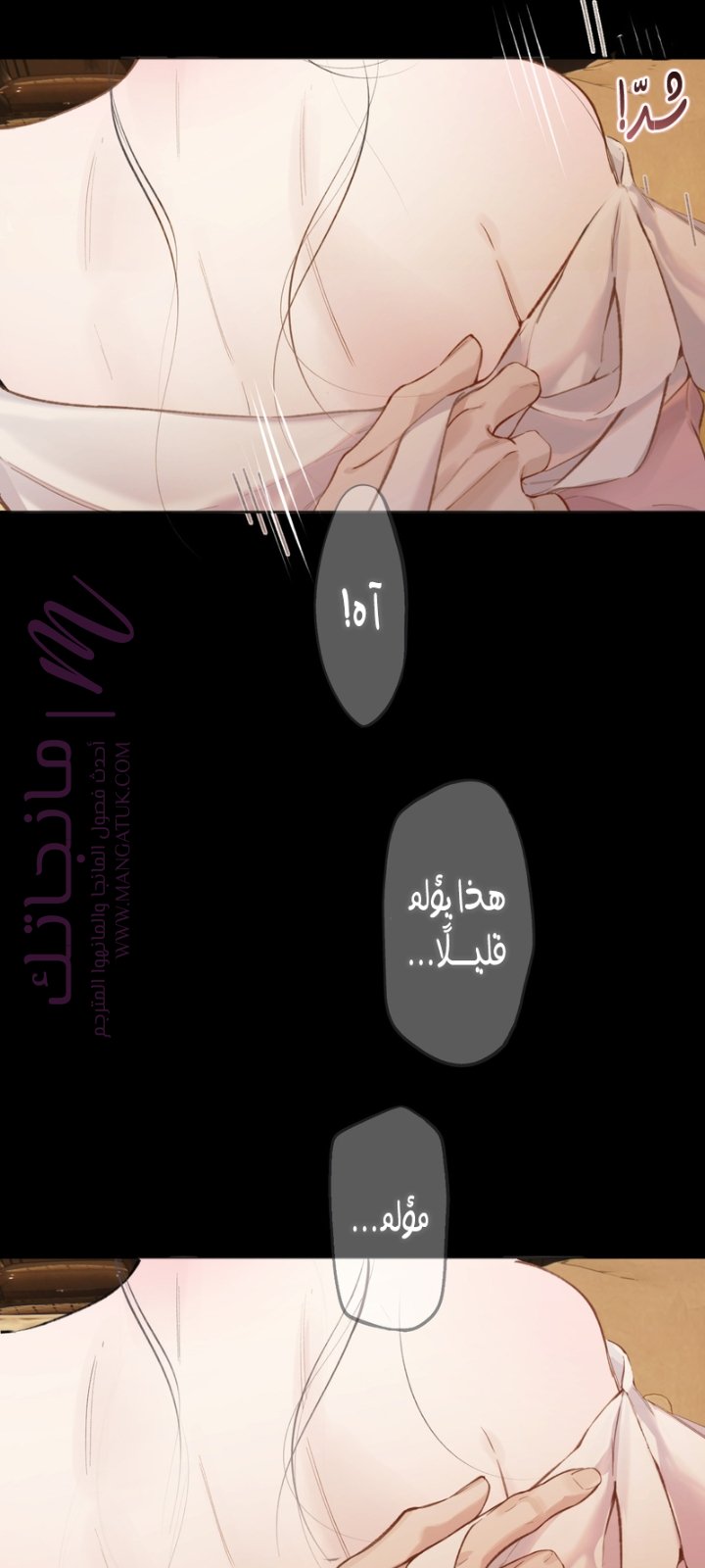 الصفحة 52