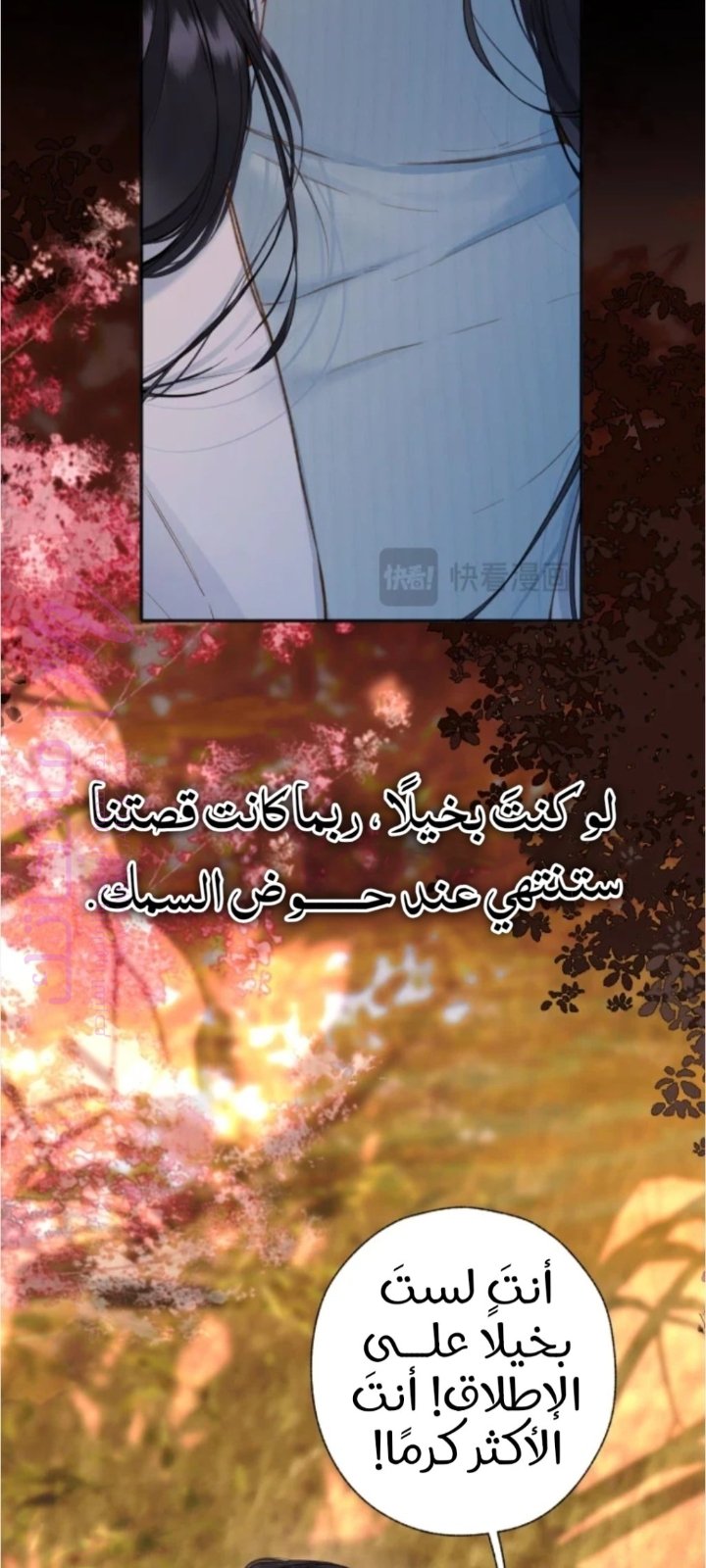 الصفحة 40
