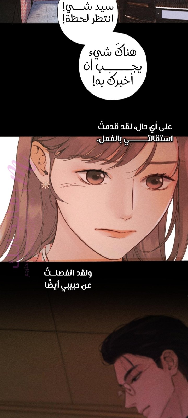 الصفحة 36