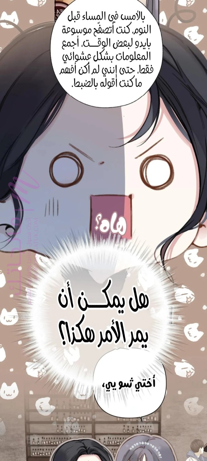 الصفحة 14