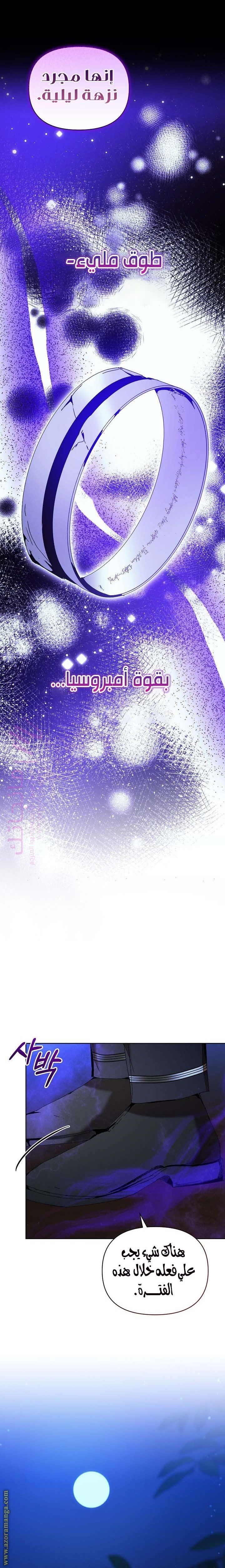 الصفحة 26