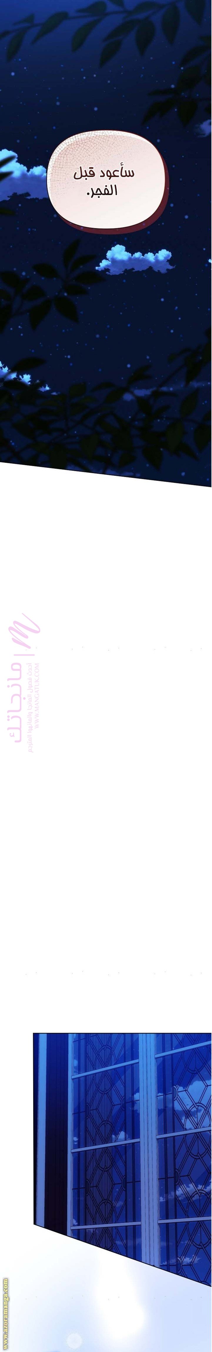 الصفحة 27
