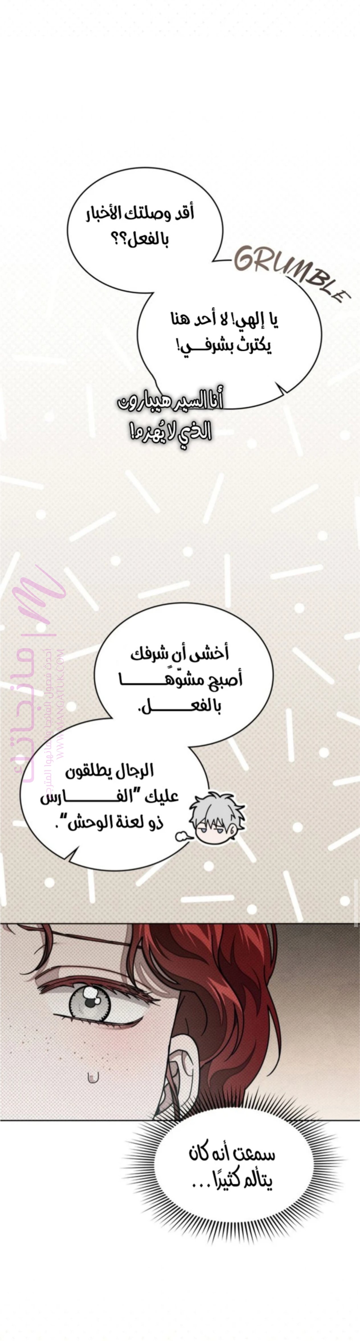 الصفحة 29