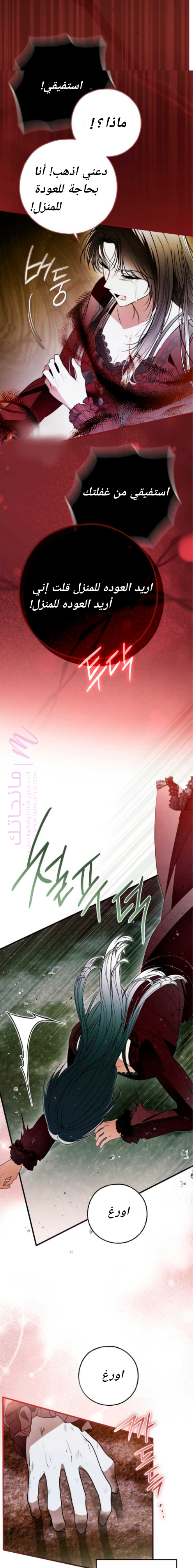 الصفحة 21