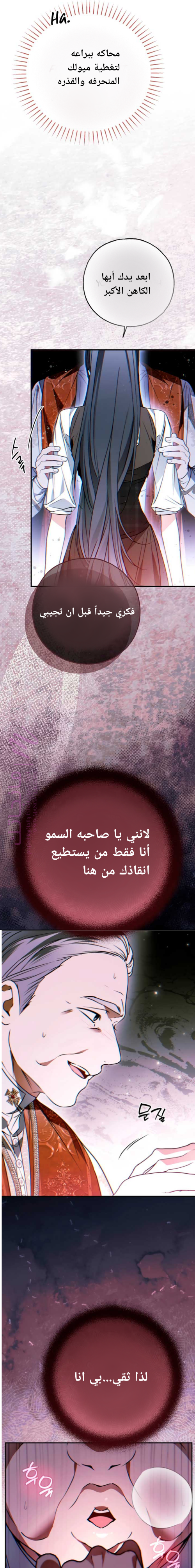 الصفحة 12