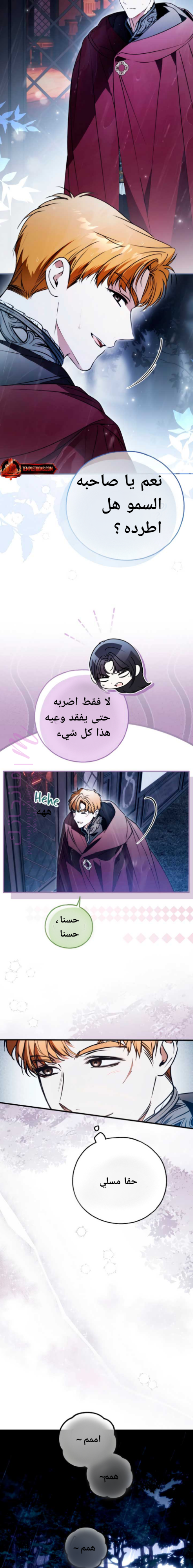 الصفحة 17