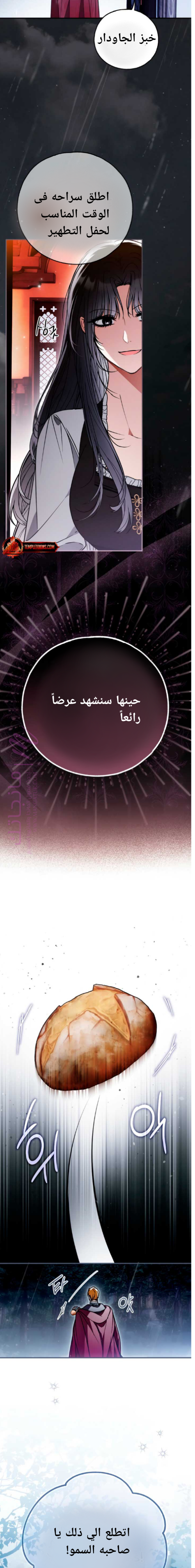الصفحة 19