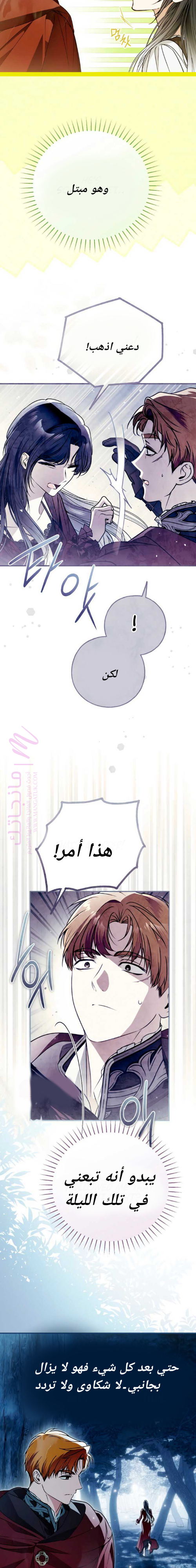 الصفحة 17