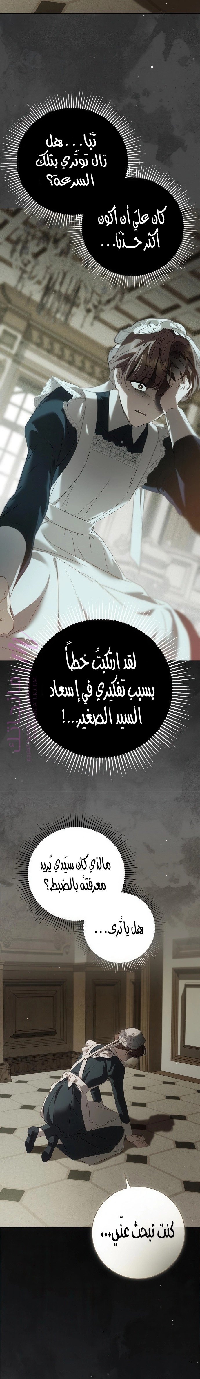 الصفحة 27