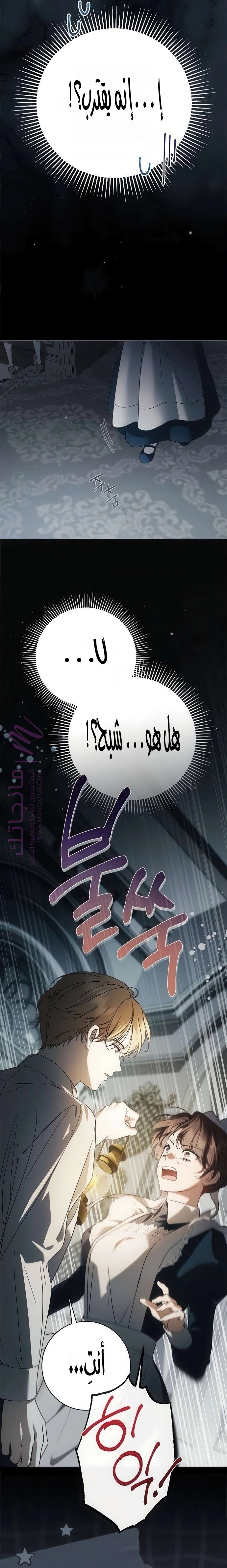 الصفحة 26