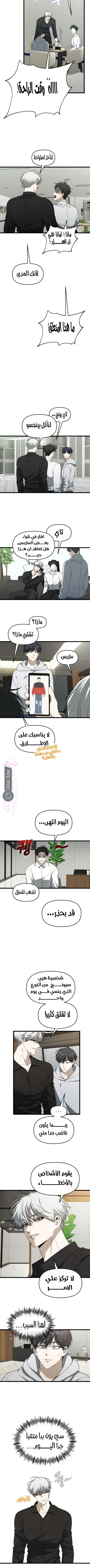 الصفحة 3