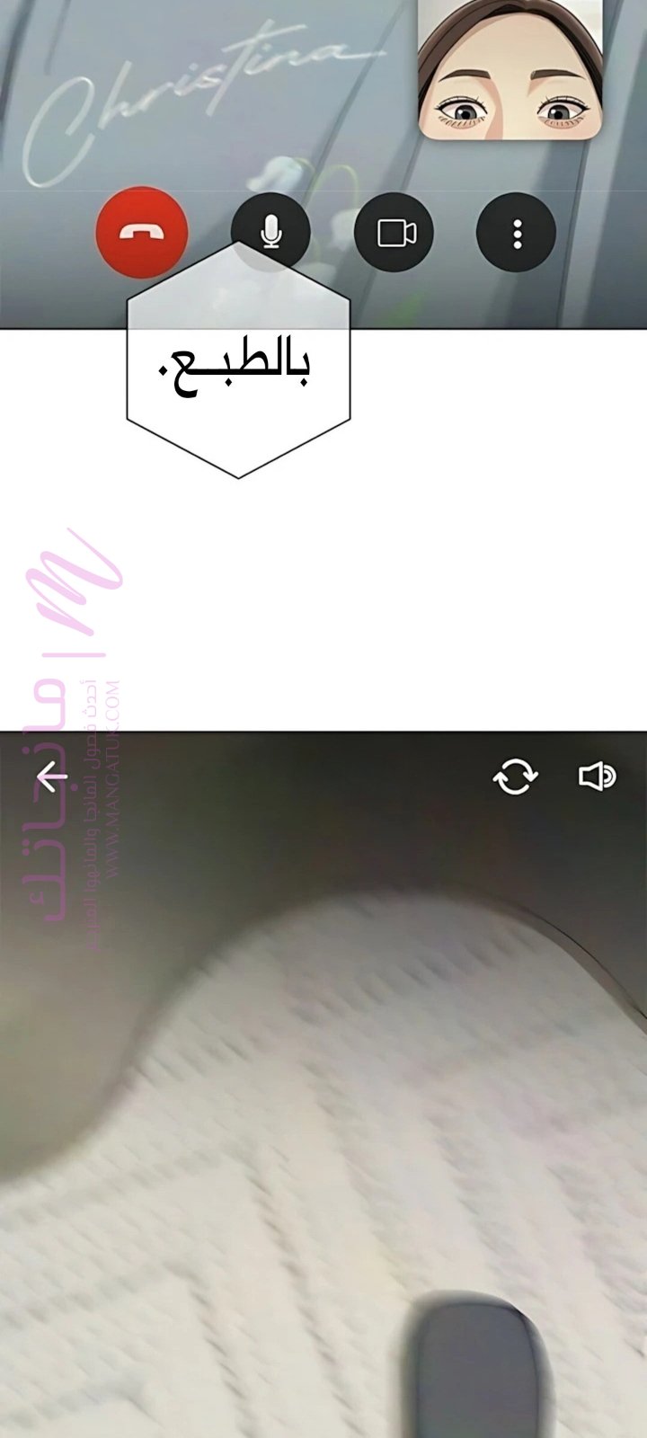 الصفحة 41