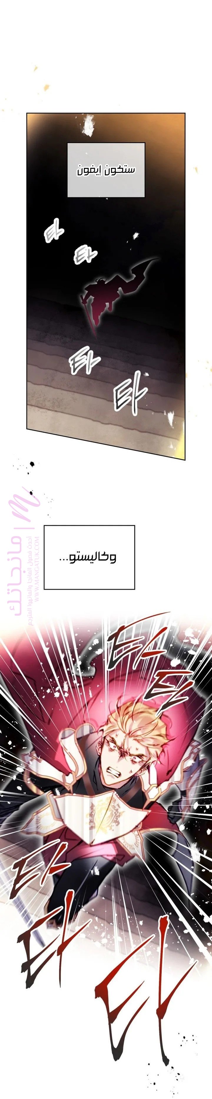 الصفحة 17