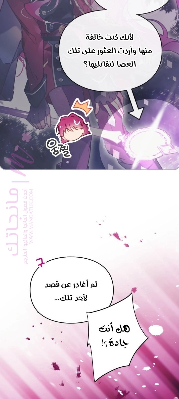 الصفحة 16