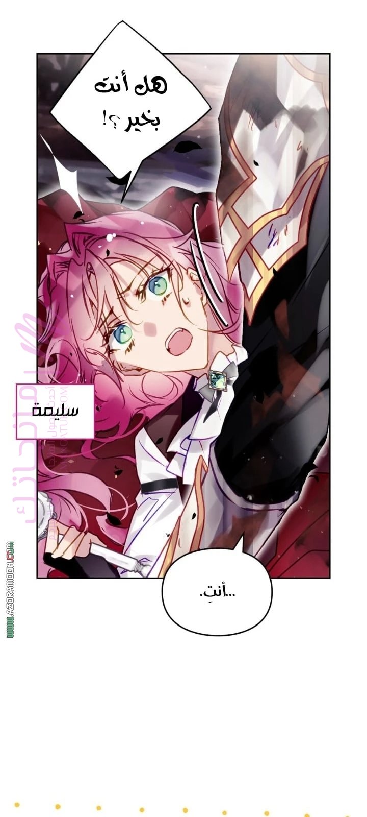 الصفحة 12