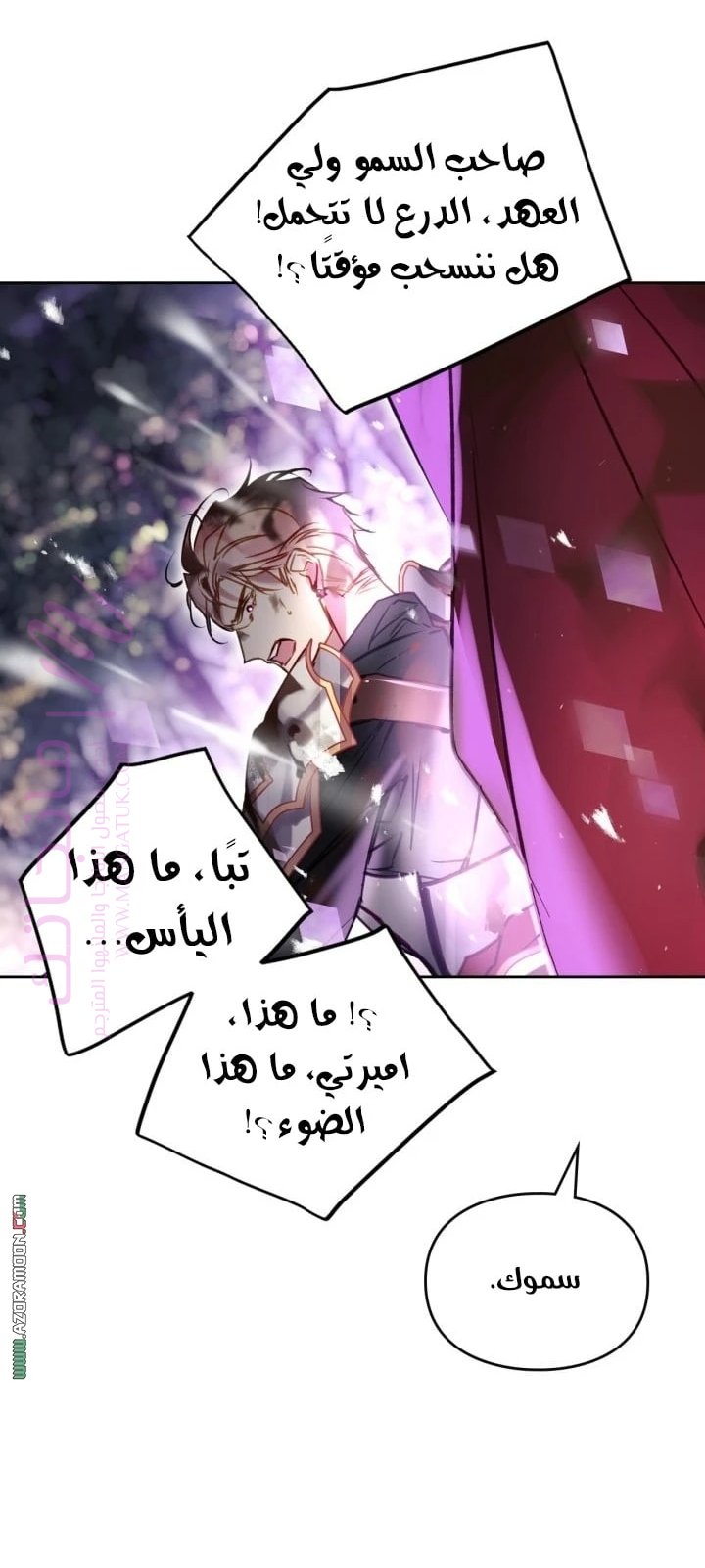 الصفحة 31