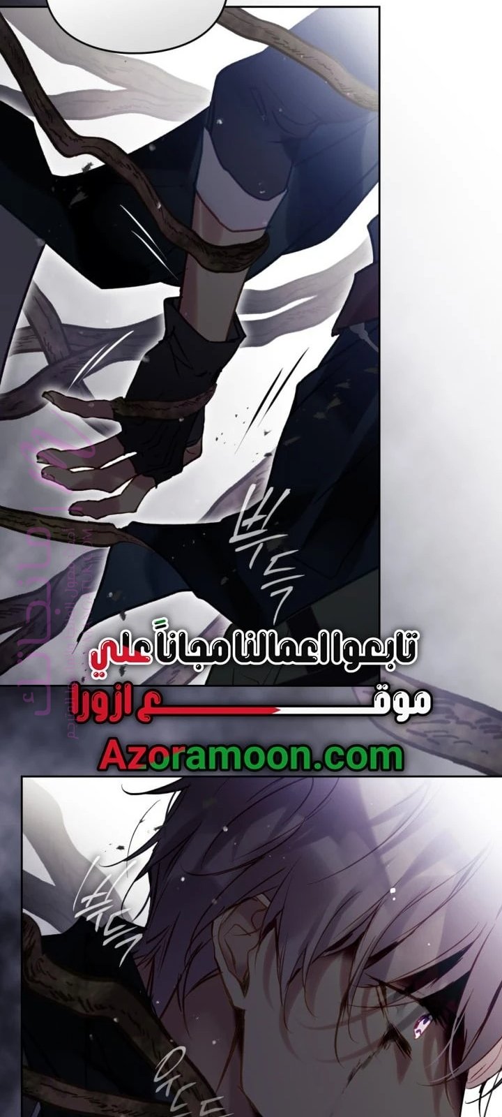 الصفحة 46