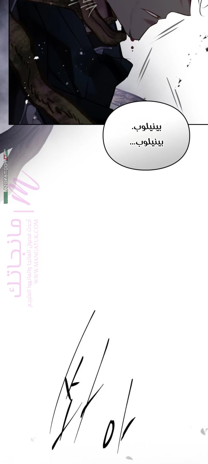 الصفحة 47